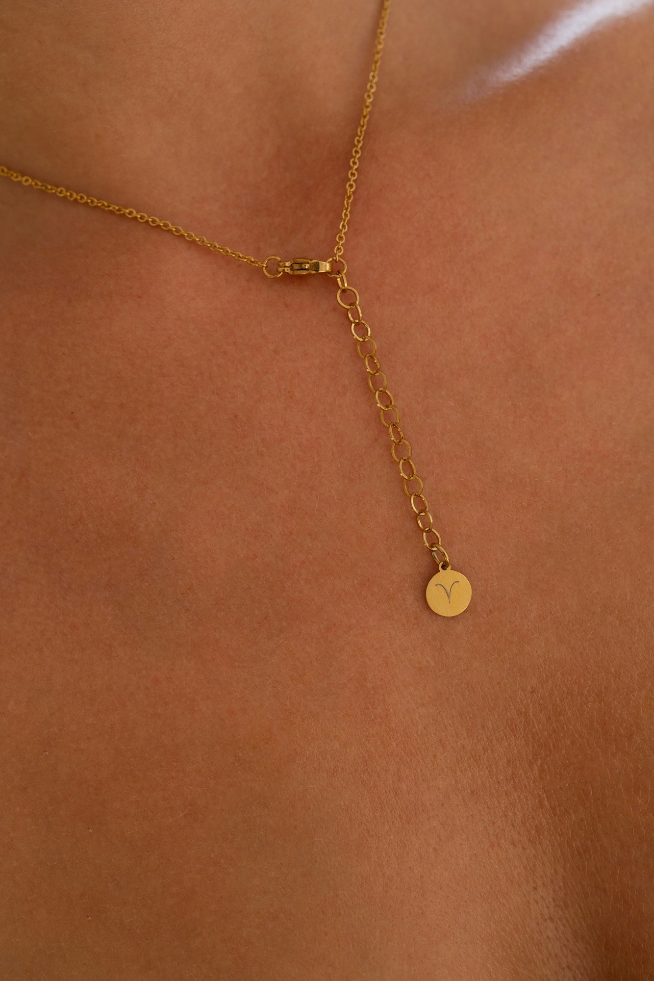 Naszyjnik zodiakalny – Baran – Jaspis Obrazkowy – stal szlachetna pozłacana