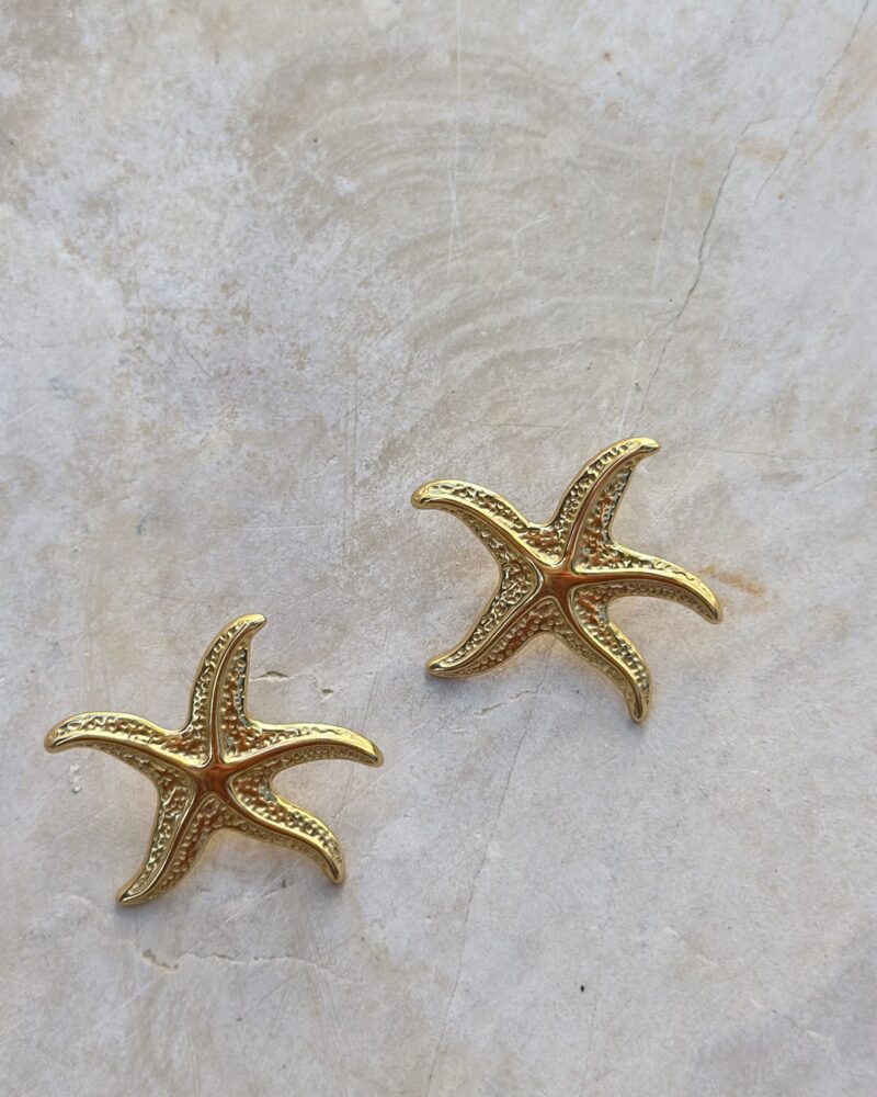 Sea star - stal szlachetna